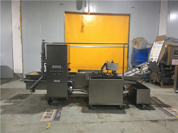 果蔬清洗機(jī)比較不錯的選擇----專業(yè)果蔬清洗機(jī)