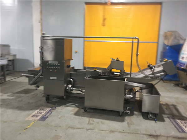 荸薺清洗機(jī)，有效清洗，過(guò)濾泥沙